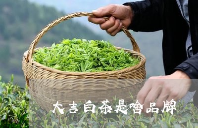 大吉白茶是啥品牌/2023082622814