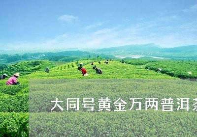 大同号黄金万两普洱茶价格/2023110200503