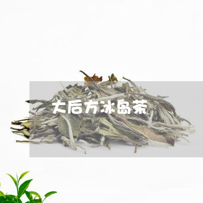 大后方冰岛茶/2023090756562