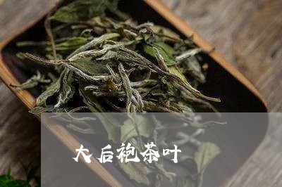 大后袍茶叶/2023090269584