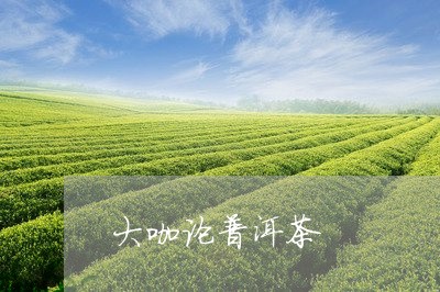 大咖论普洱茶/2023102559584