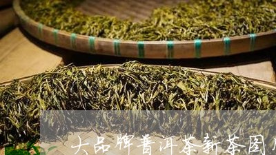 大品牌普洱茶新茶图片/2023110319482