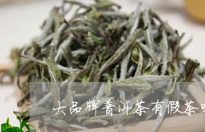 大品牌普洱茶有假茶吗/2023100770684