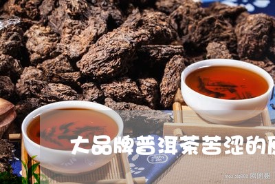 大品牌普洱茶苦涩的原因/2023103159302