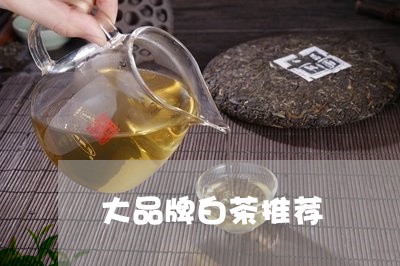 大品牌白茶推荐/2023121876159