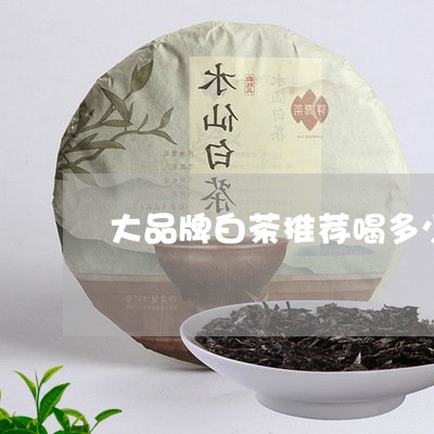 大品牌白茶推荐喝多少/2023092819504