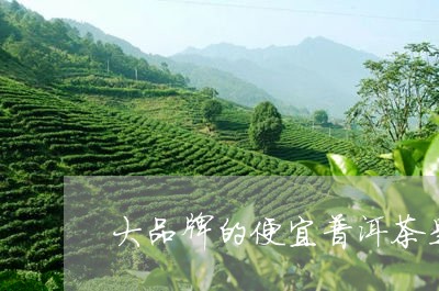 大品牌的便宜普洱茶是真的吗/2023082634957