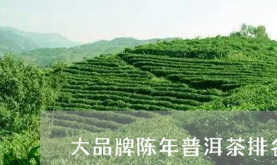 大品牌陈年普洱茶排名第几/2023082753948