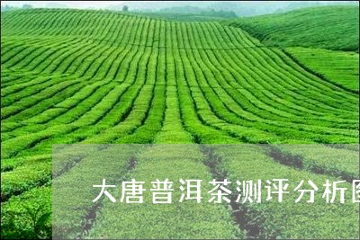 大唐普洱茶测评分析图/2023082960526