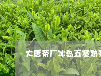 大唐茶厂冰岛五寨熟茶/2023092332707