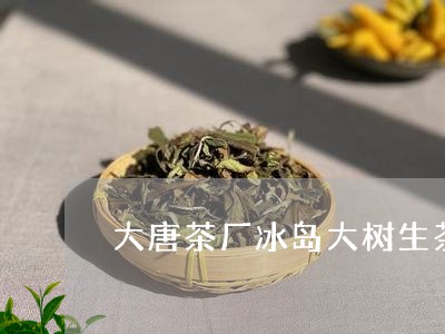 大唐茶厂冰岛大树生茶/2023092448482