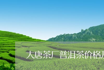 大唐茶厂普洱茶价格及图片/2023082589492