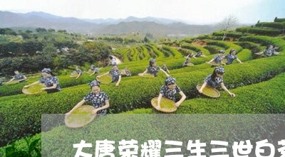 大唐荣耀三生三世白茶/2023092830926