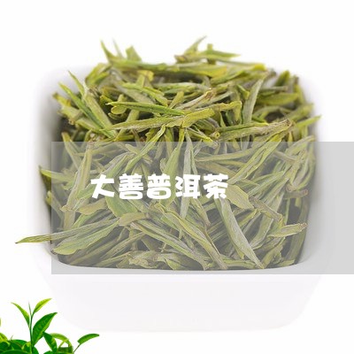 大善普洱茶/2023082930413