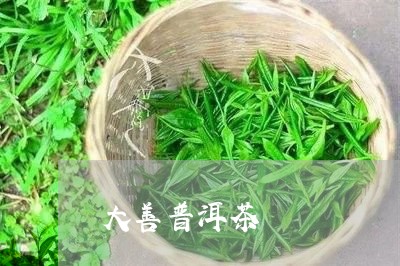 大善普洱茶/2023121581825