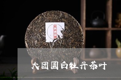 大团圆白牡丹茶叶/2023090672926