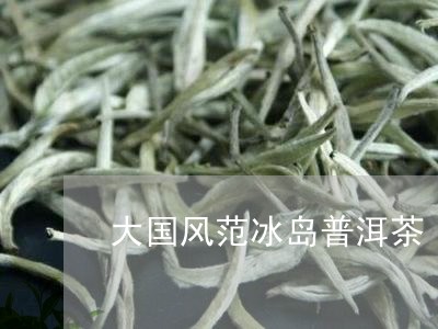 大国风范冰岛普洱茶/2023120526381