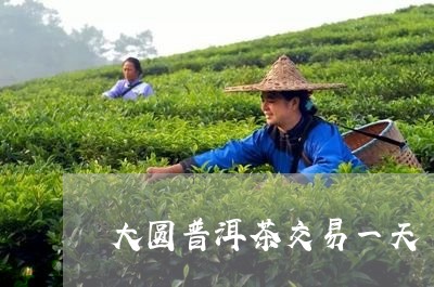 大圆普洱茶交易一天/2023061974750