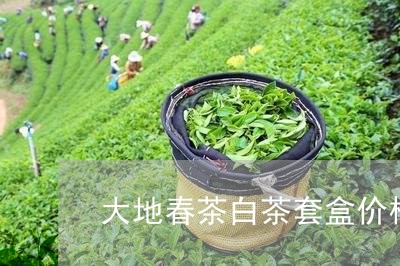 大地春茶白茶套盒价格/2023092833626