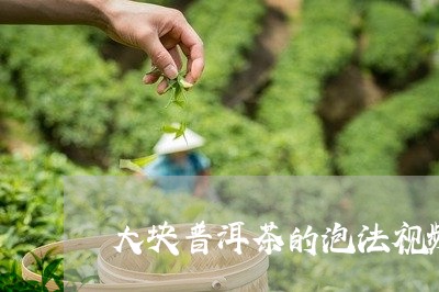 大块普洱茶的泡法视频讲解/2023112529382