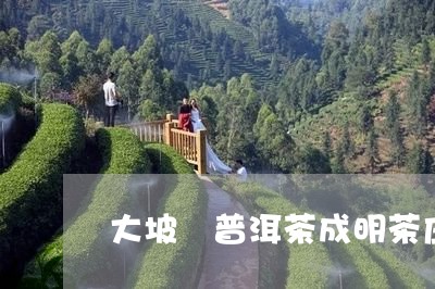 大坡緑普洱茶成明茶庄/2023061636049