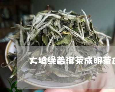 大坡绿普洱茶成明茶庄/2023072490582