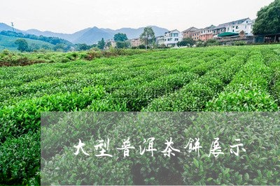 大型普洱茶饼展示/2023112656049