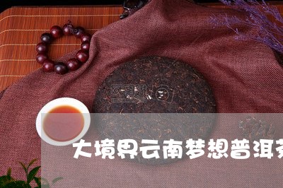 大境界云南梦想普洱茶/2023100680693