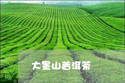 大墨山普洱茶/2023042558288