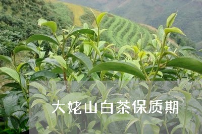 大姥山白茶保质期/2023061735150