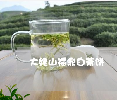 大姥山福鼎白茶饼/2023112511404