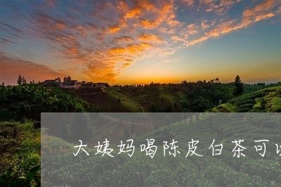 大姨妈喝陈皮白茶可以吗/2023063004931