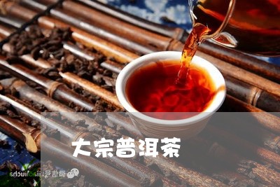 大宗普洱茶/2023090507140