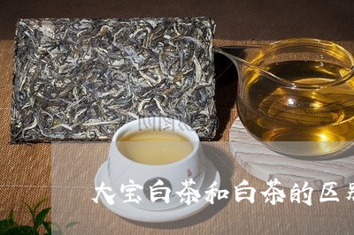 大宝白茶和白茶的区别/2023092870605