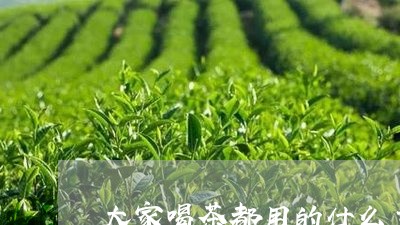 大家喝茶都用的什么主人杯/2023051168573