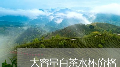 大容量白茶水杯价格/2023071629390