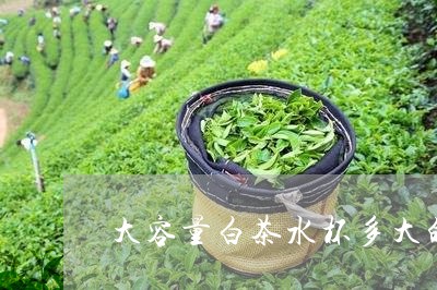 大容量白茶水杯多大的/2023092871707