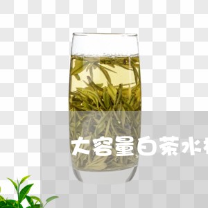 大容量白茶水杯推荐/2023071659505