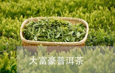 大富豪普洱茶/2023042740492