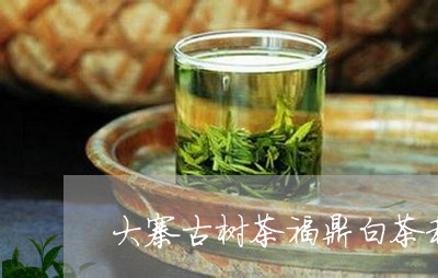 大寨古树茶福鼎白茶和云南白茶/2023053119289