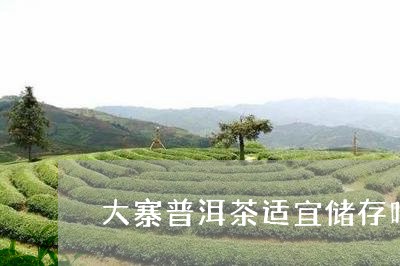 大寨普洱茶适宜储存吗/2023080206158