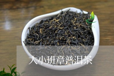 大小班章普洱茶/2023081889825