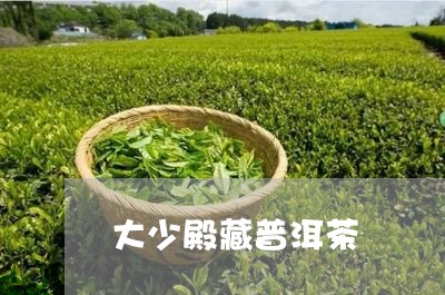 大少殿藏普洱茶/2023101683817