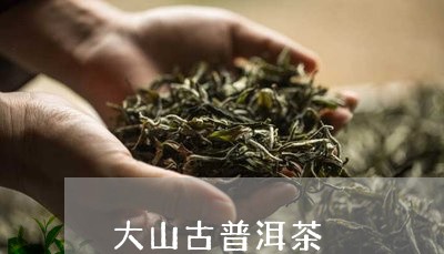 大山古普洱茶/2023042729063