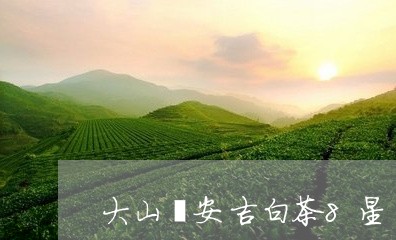 大山坞安吉白茶8星/2023121392836