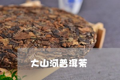 大山河普洱茶/2023042611287