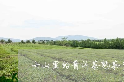 大山里的普洱茶熟茶多少一斤/2023052859593