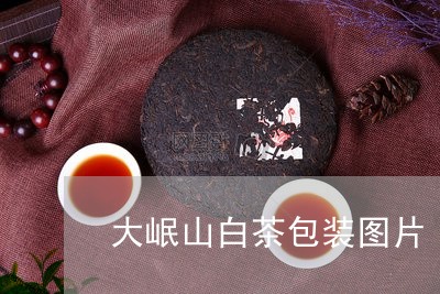 大岷山白茶包装图片/2023071654058