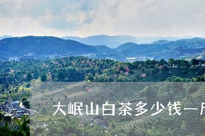 大岷山白茶多少钱一斤/2023092830503