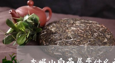 大岷山白茶属于什么茶/2023092809371